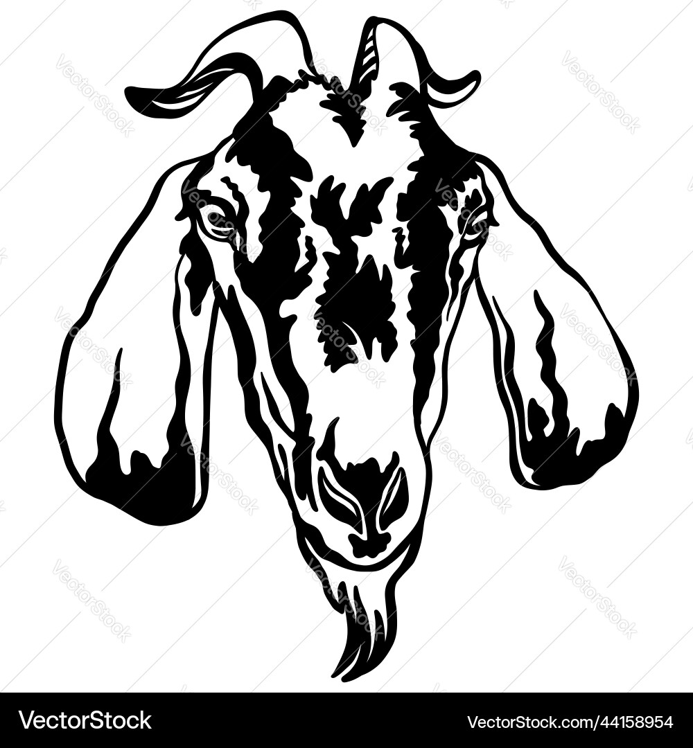 Abstract portrait of a goat black contour Abstract portrait of a goat black contour vector image