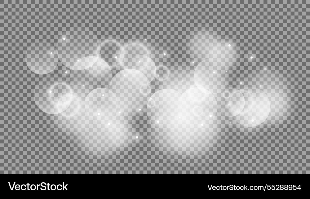 Bokeh circles on transparent background Bokeh circles on transparent background vector image
