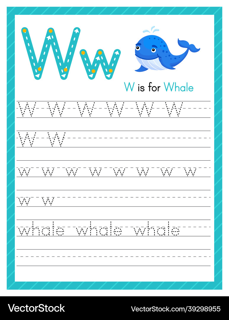 Trace letter w uppercase and lowercase alphabet Vector Image