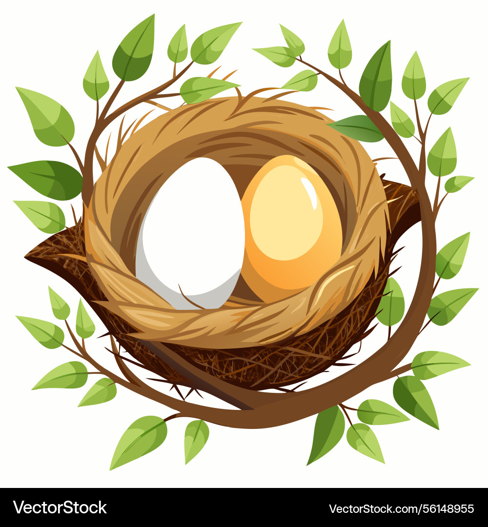 Two eggs nestled in tree branch nest Vector Image