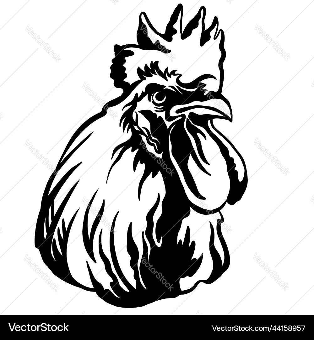 Abstract portrait of a angry rooster black contour Abstract portrait of a angry rooster black contour vector image