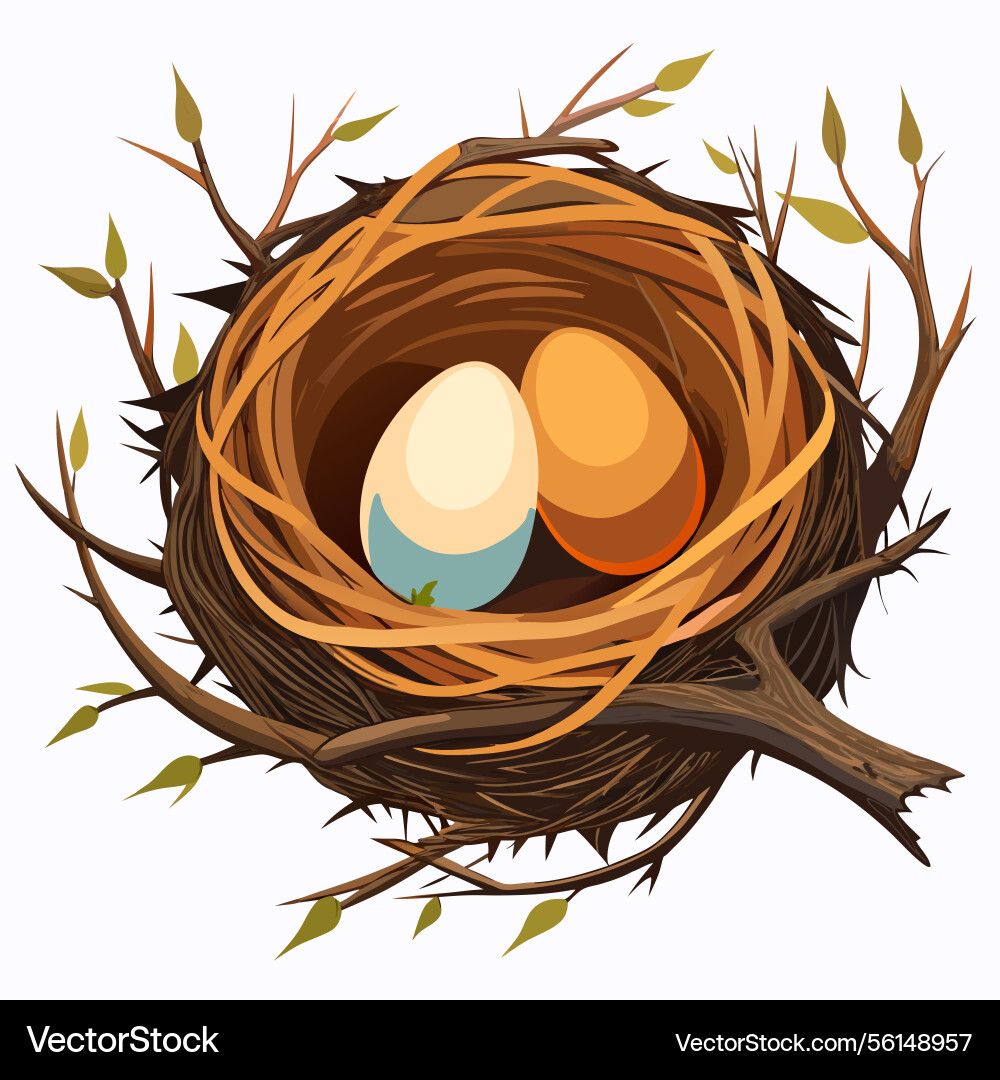 Two eggs nestled in tree branch nest Two eggs nestled in tree branch nest Vector Image