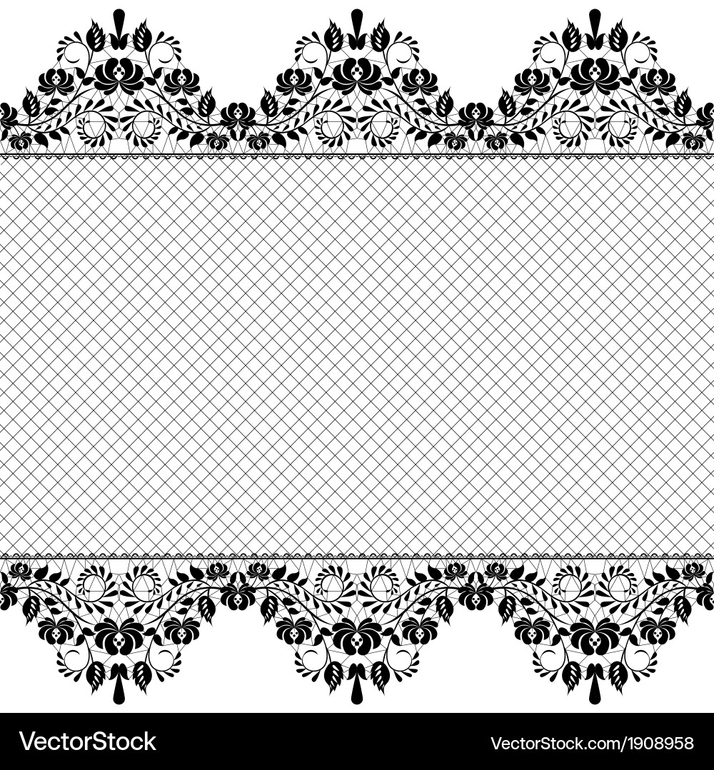Background with lace and net vector image