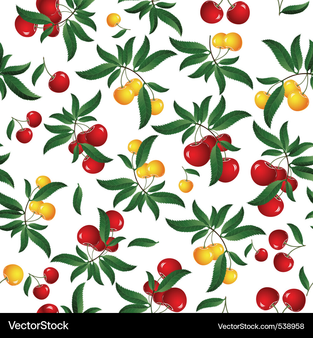 Cherry Seamless Pattern Vector Image