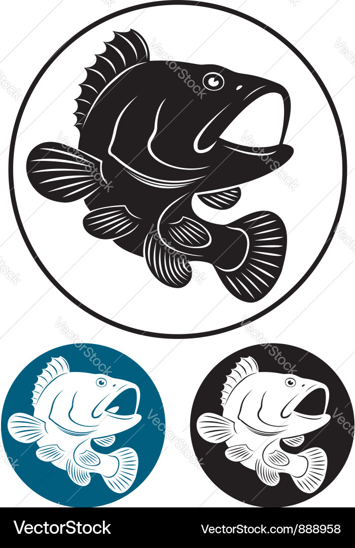 Grouper Fish - Predator Vector Image