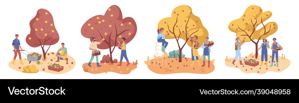 Set of people gathering harvest from apple trees Set of people gathering harvest from apple trees vector image