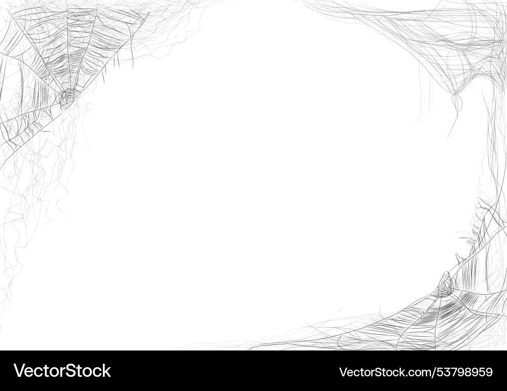 Cobweb on corners frame or border vector image