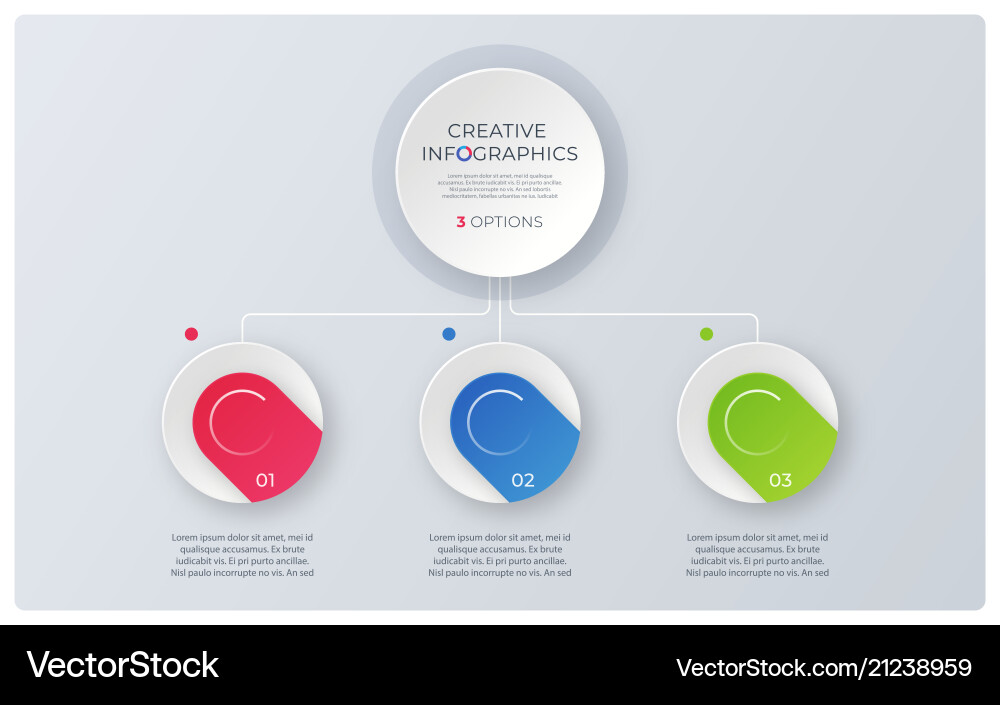 Modern style structure chart infographic design vector image