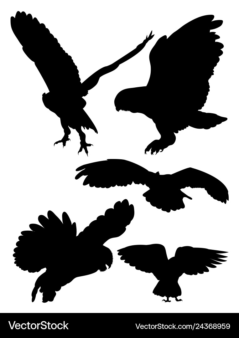Owls birds silhouette Owls birds silhouette vector image