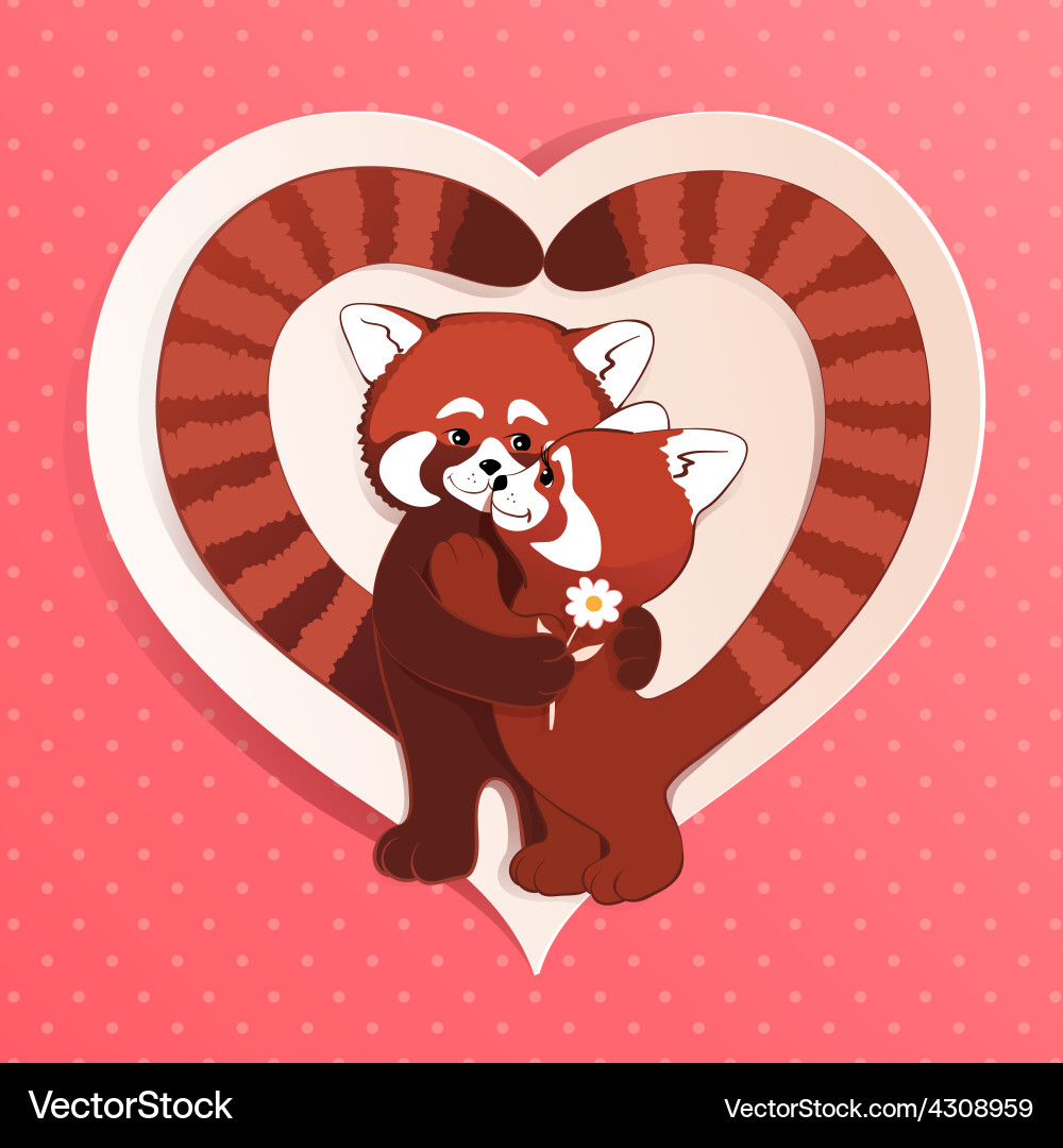 Two red pandas vector image