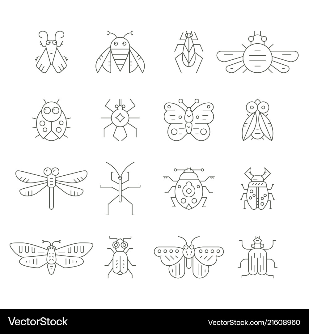 Insect line icons vector image