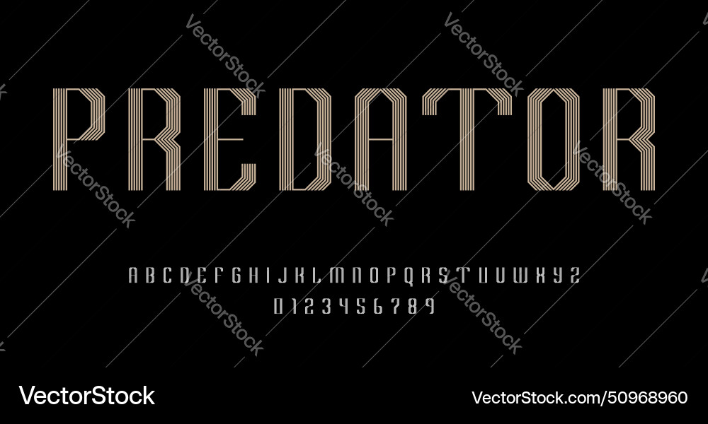 Set of alphabets font letters and numbers Set of alphabets font letters and numbers vector image