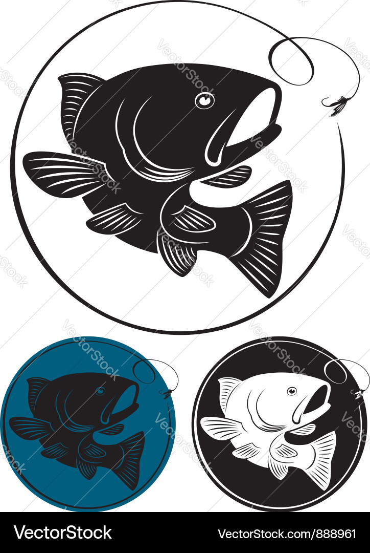 Trout Fish - Freshwater Species Vector Image
