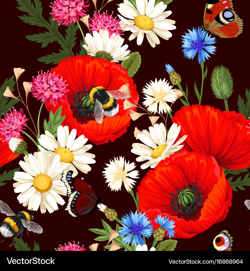 Meadow Poppy Flowers Vector Image