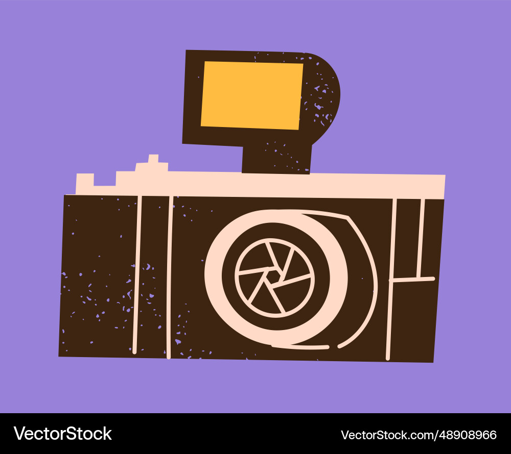Photo camera mirrorless or slr Royalty Free Vector Image