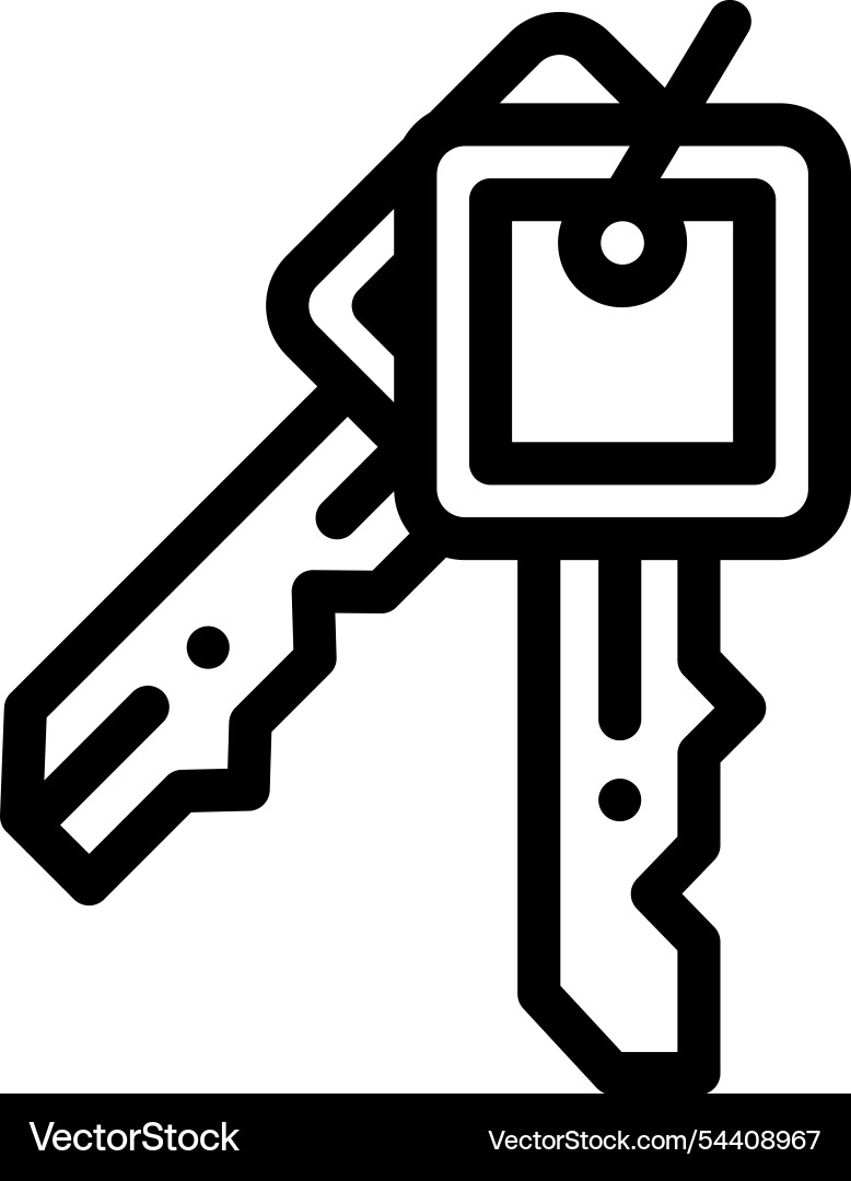 Keys icon thin linear style design isolated Keys icon thin linear style design isolated vector image