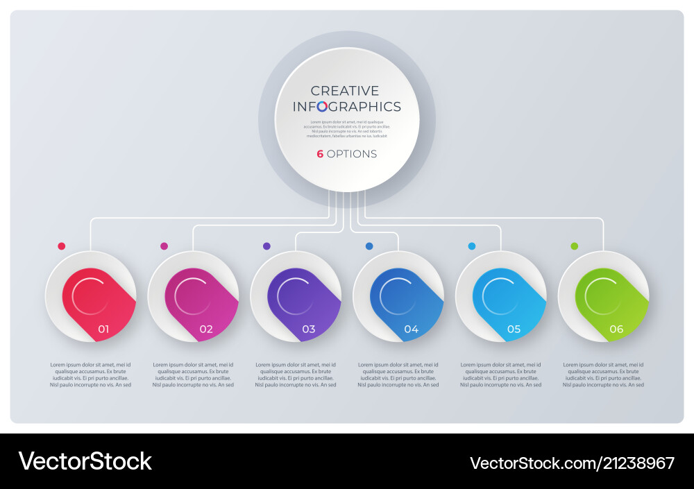 Modern Structure Chart Infographic vector image