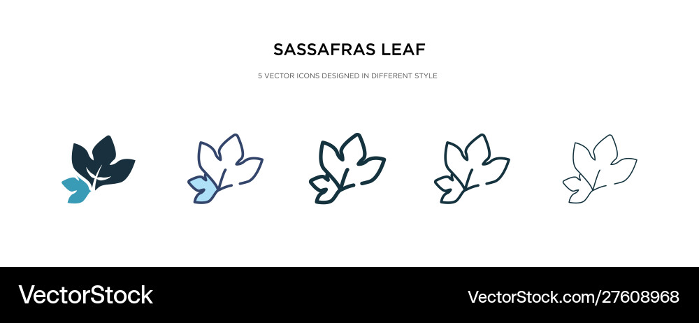 Sassafras leaf icon in different style two Sassafras leaf icon in different style two vector image