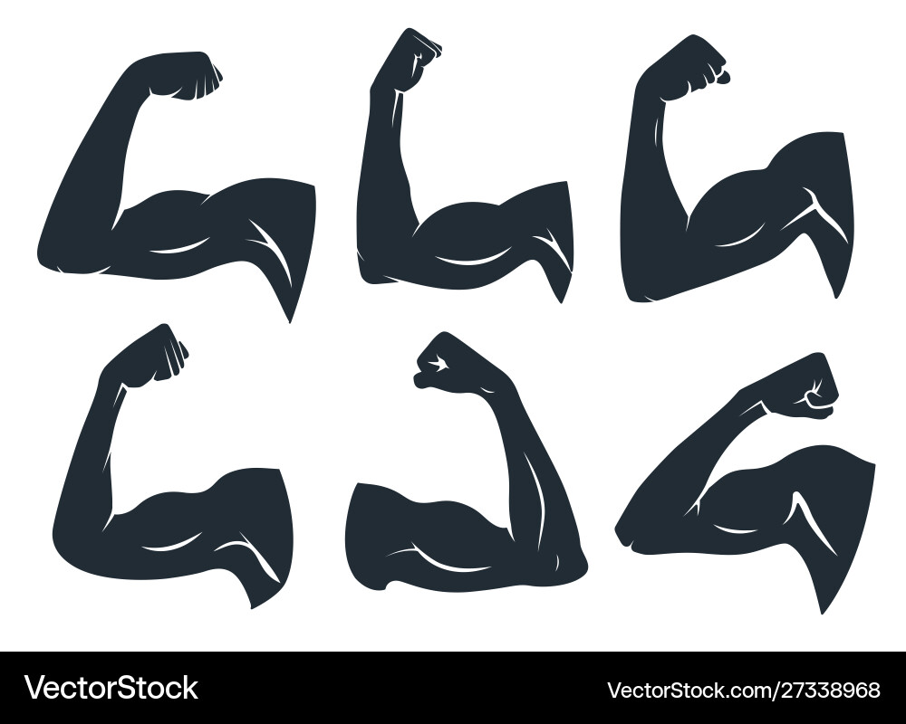 Strong Arm Muscles Silhouette Vector Image