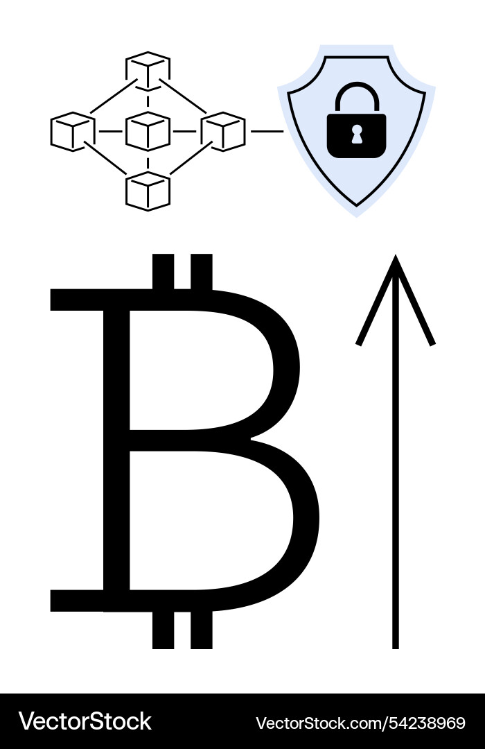 Blockchain network with security shield bitcoin Blockchain network with security shield bitcoin vector image