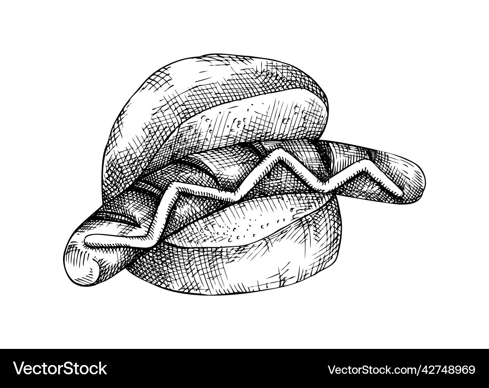 Gegrillte Wurst in Brötchen mit Senf Fast Food Gegrillte Wurst in Brötchen mit Senf Fast Food vektorbild