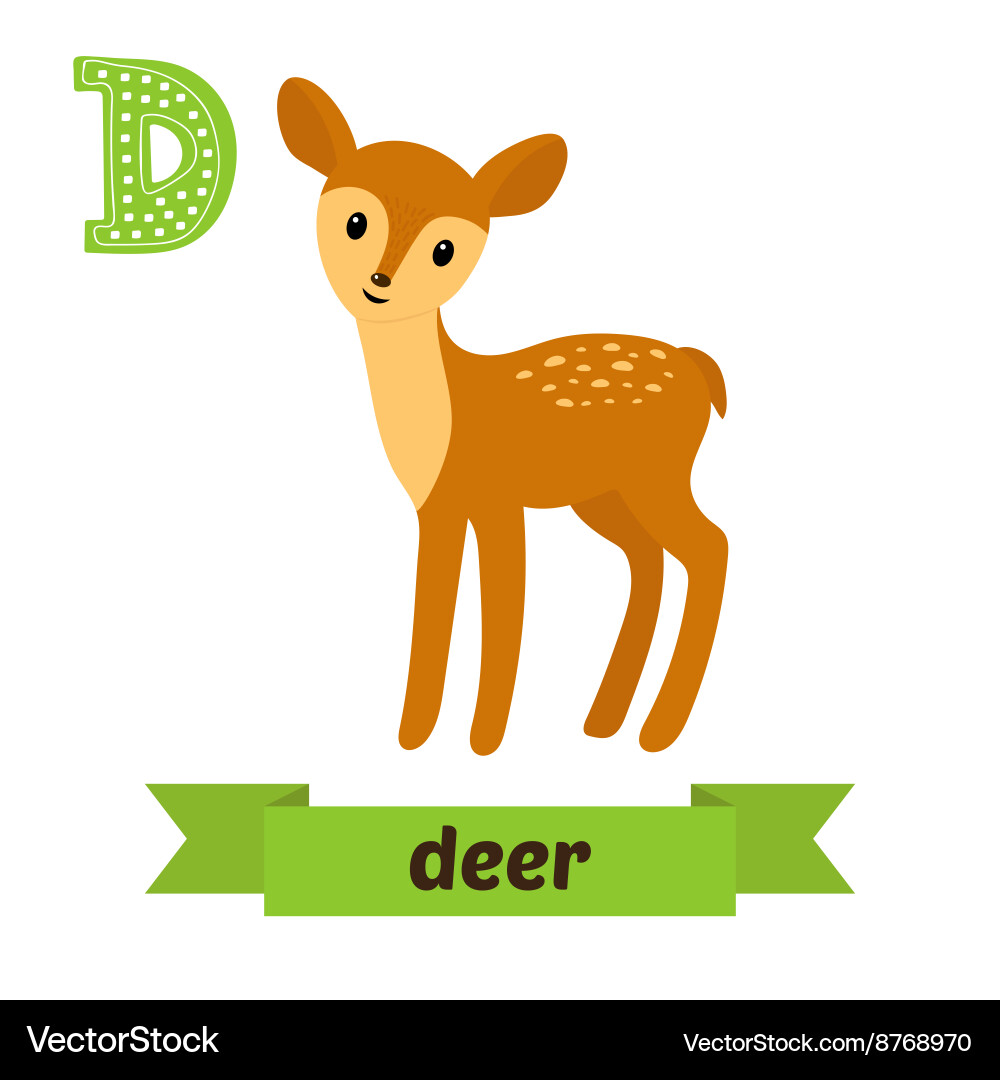 Deer d letter cute children animal alphabet vector image