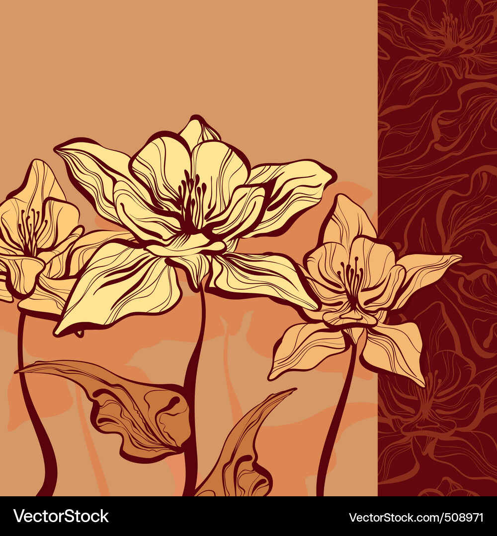 Background with flower Vector Image