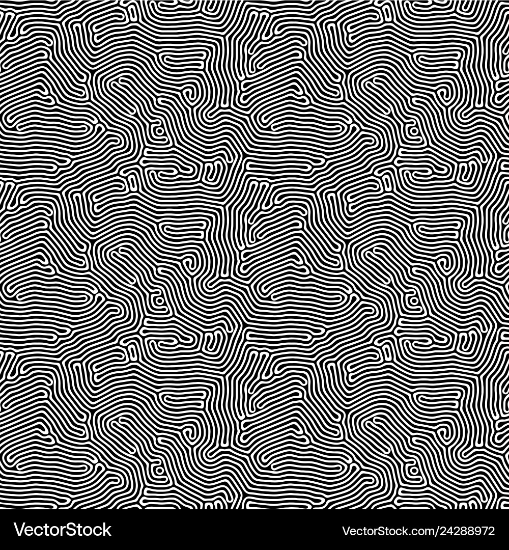 Diffusion Pattern - Organic Lines vector image