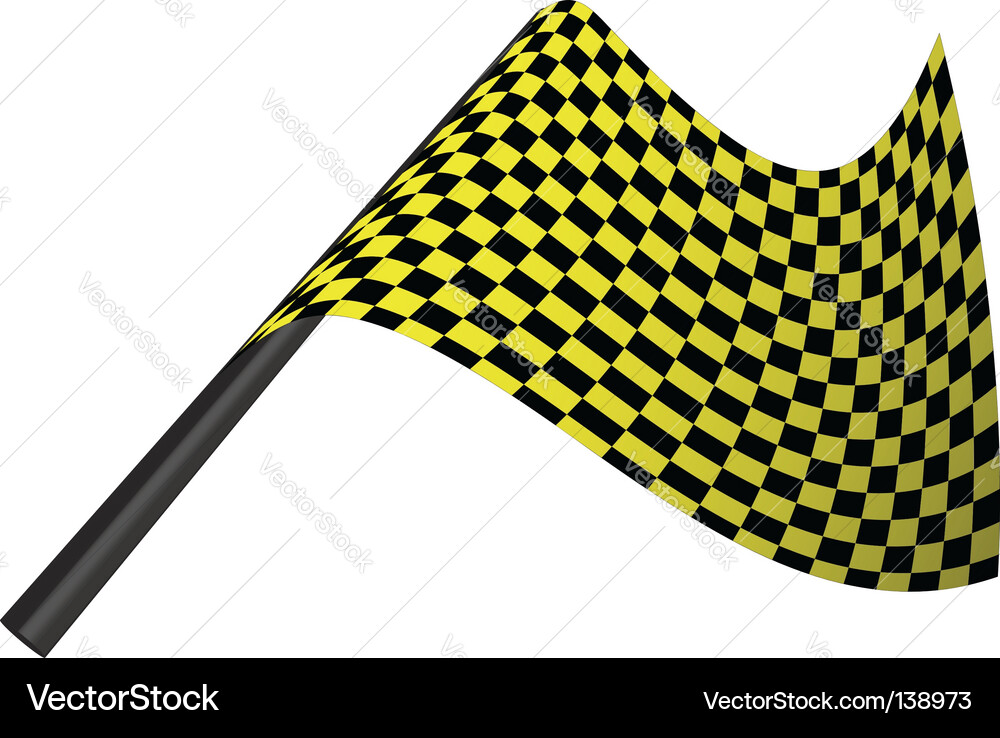 Checked flags Vector Image