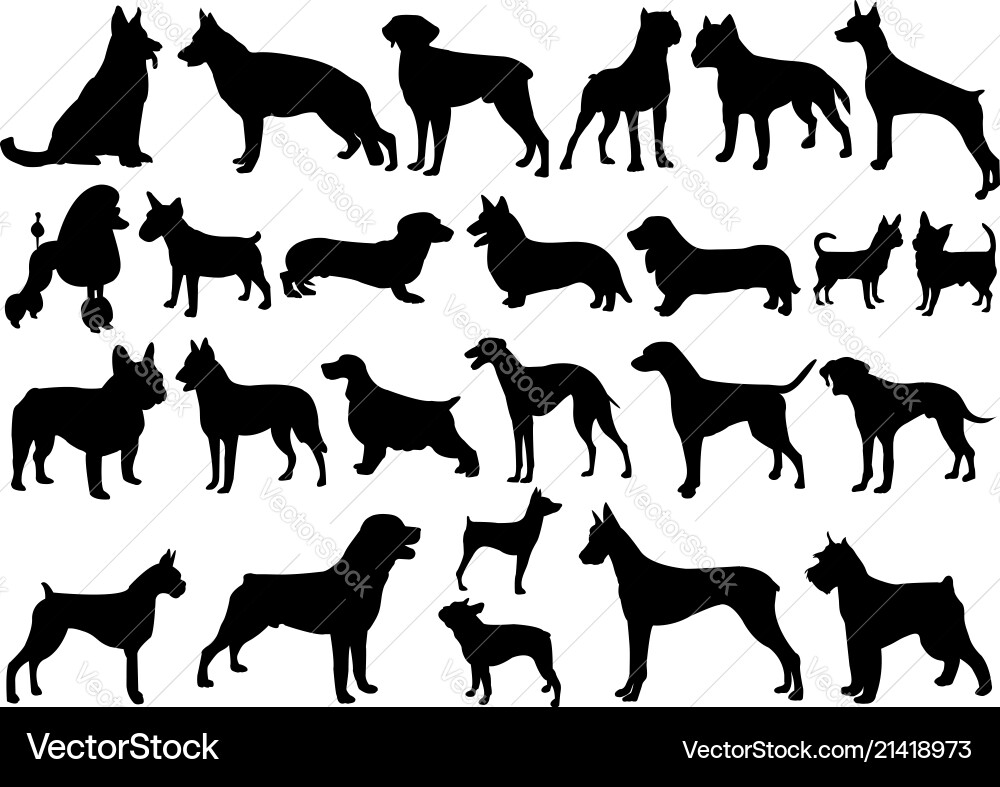 Dogs silhouettes collection vector image