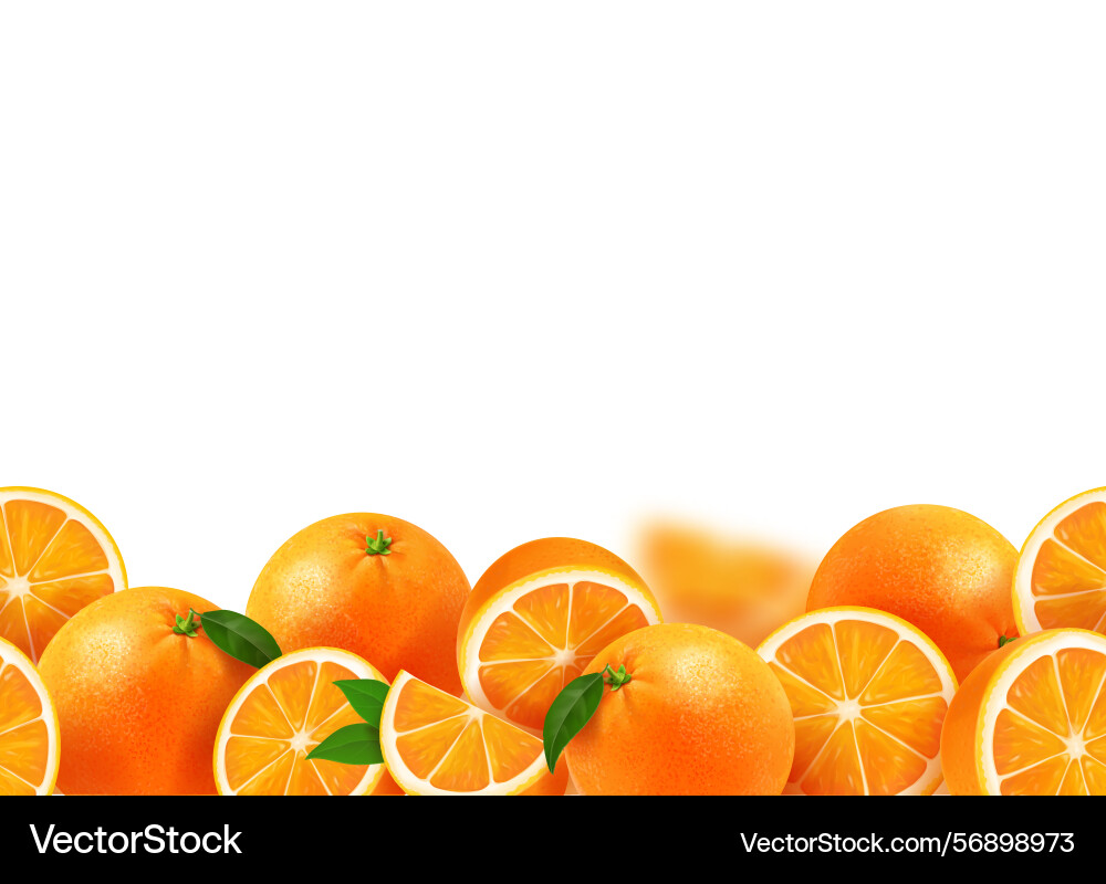 Frame with ripe oranges realistic seamless pattern Frame with ripe oranges realistic seamless pattern vector image