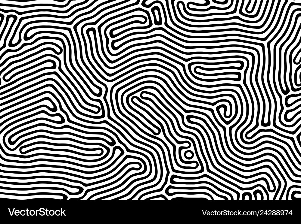 Diffusion Pattern - Organic Lines vector image