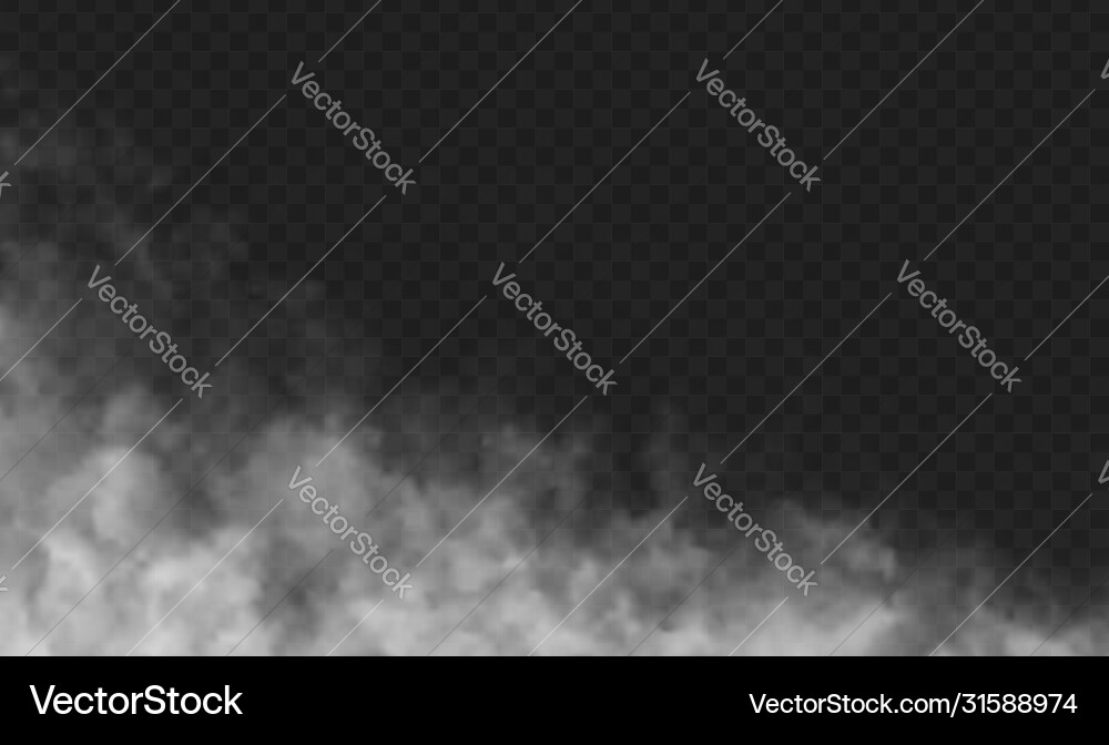 Transparent Fog Effect vector image