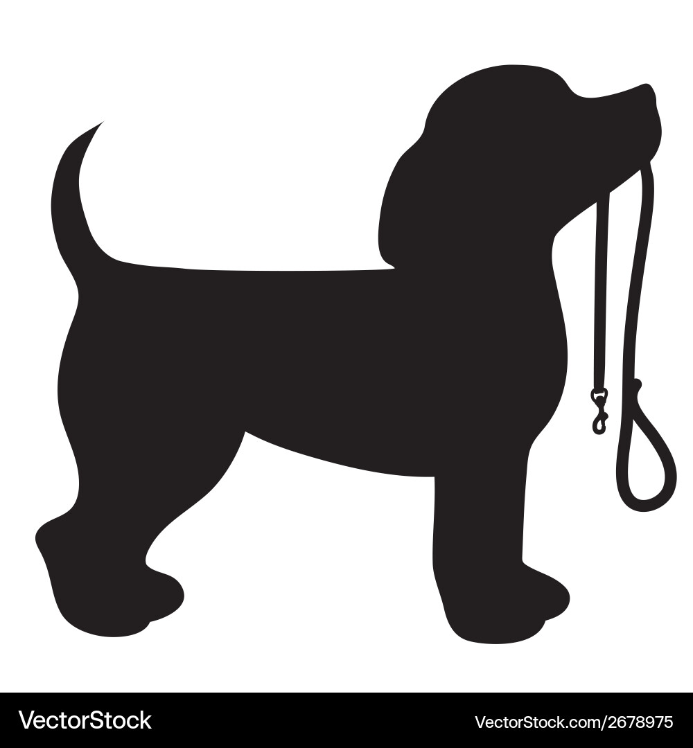 Black Beagle Silhouette with Leash Vector Image
