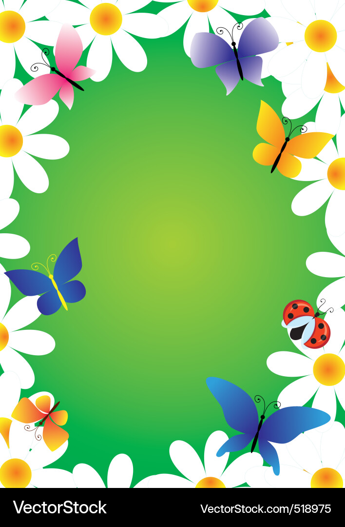Camomiles and butterflies frame vector image