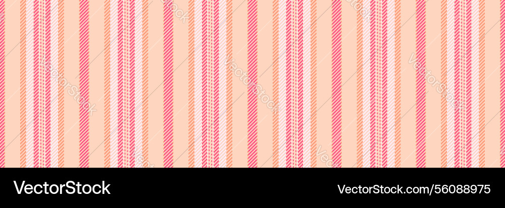 Castel pattern texture stripe multicolored lines Vector Image