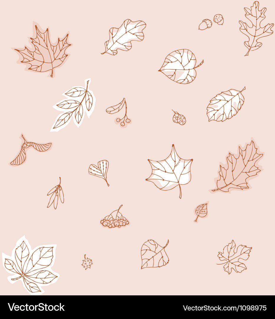 Elegant Maple Leaf Pattern vector image
