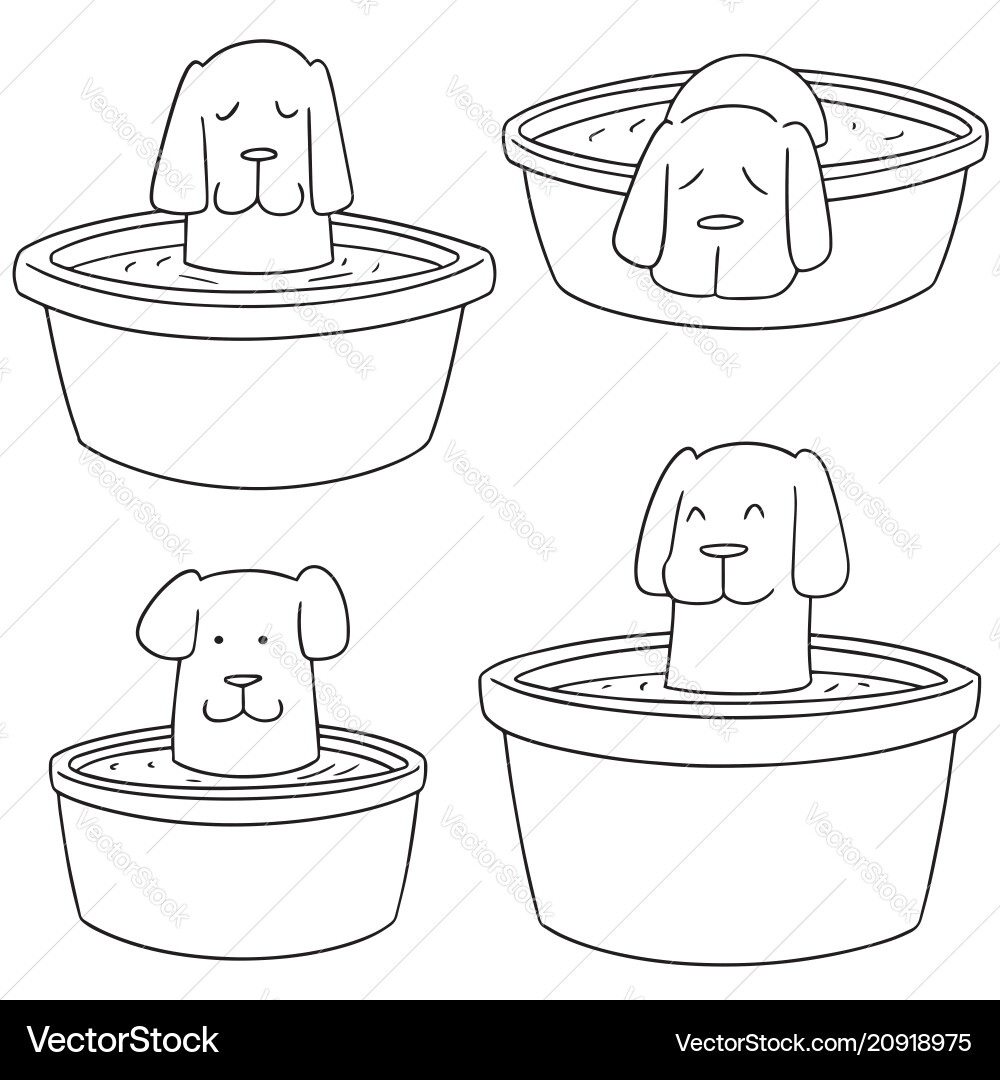 Set of dog bath Set of dog bath vector image