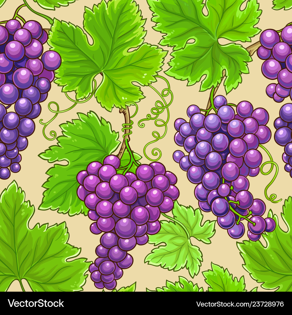 Grapes branches pattern on color background Grapes branches pattern on color background vector image