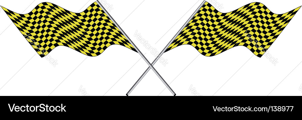 Checked flags Vector Image