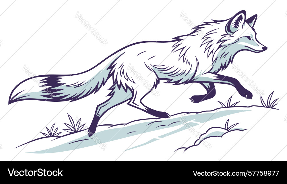 Dynamic fox running in snowy landscape design Vector Image