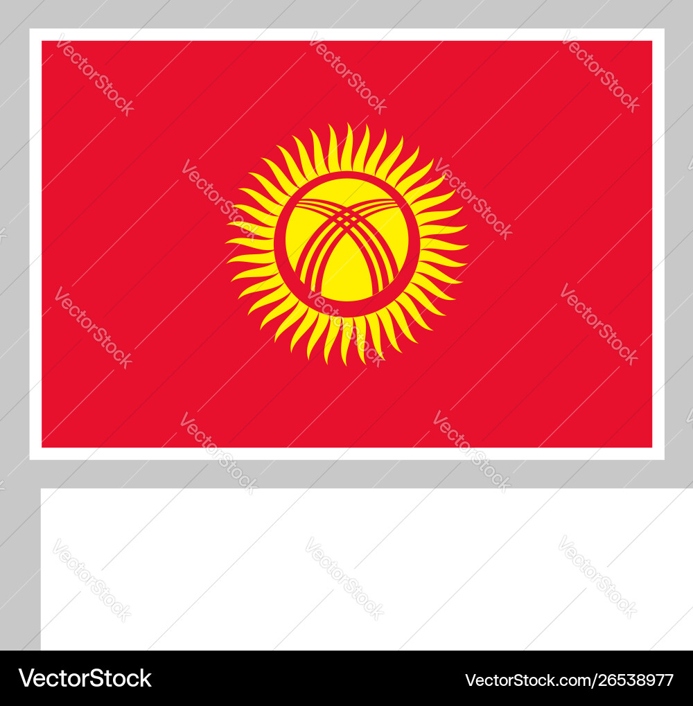 Flag on flagpole rectangular shape icon white Flag on flagpole rectangular shape icon white vector image