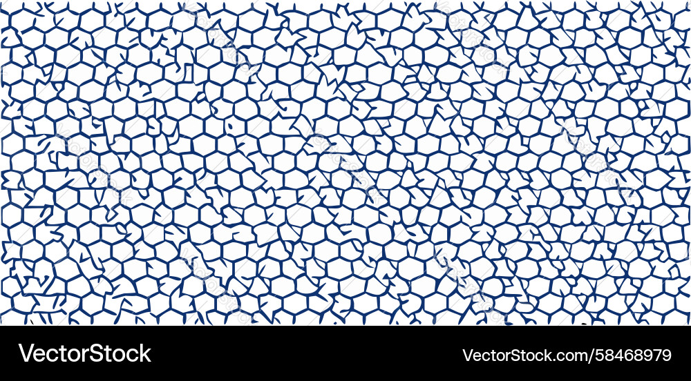 Intricate Hexagonal Mesh Pattern Vector Image