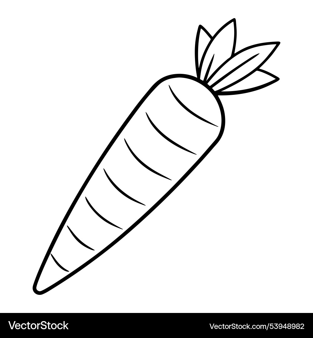 Dynamic carrot with line art Vector Image