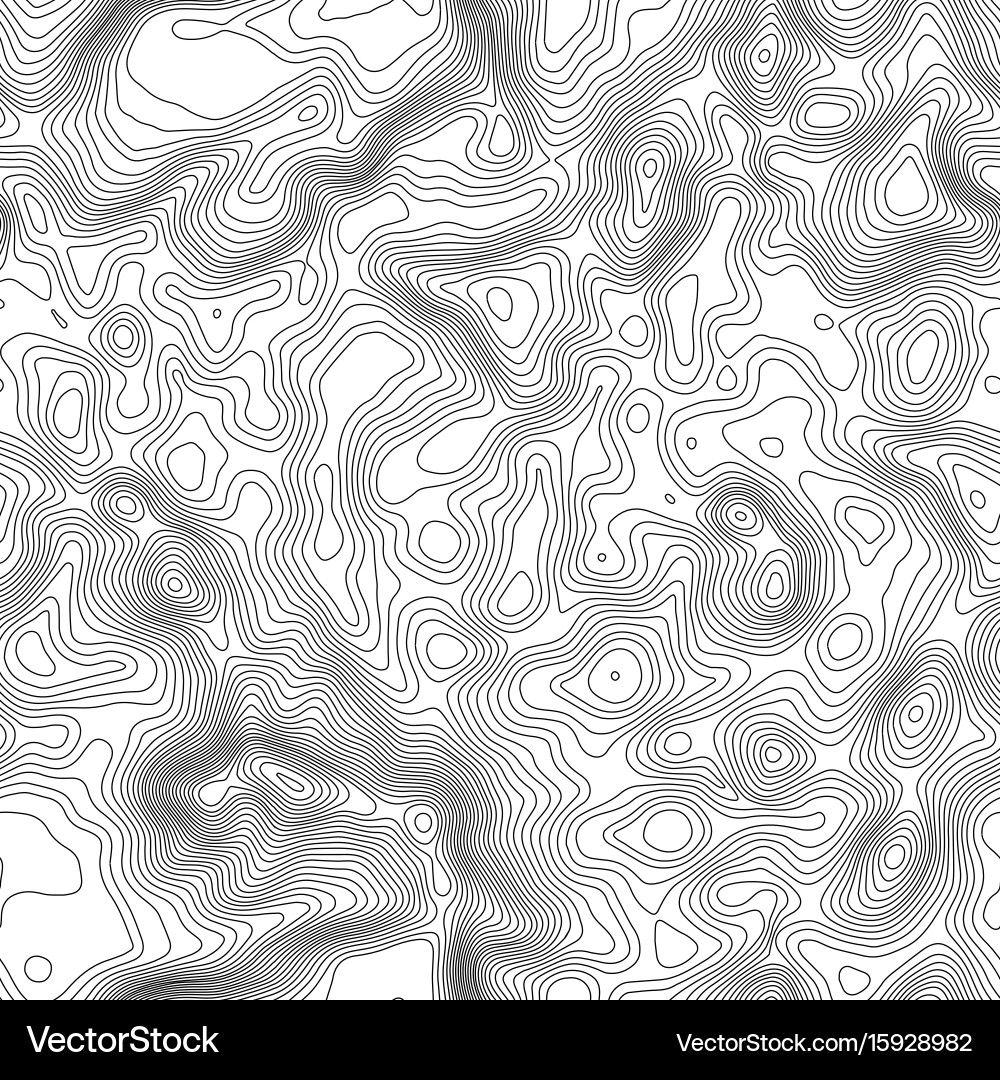 Seamless pattern topographic map background vector image