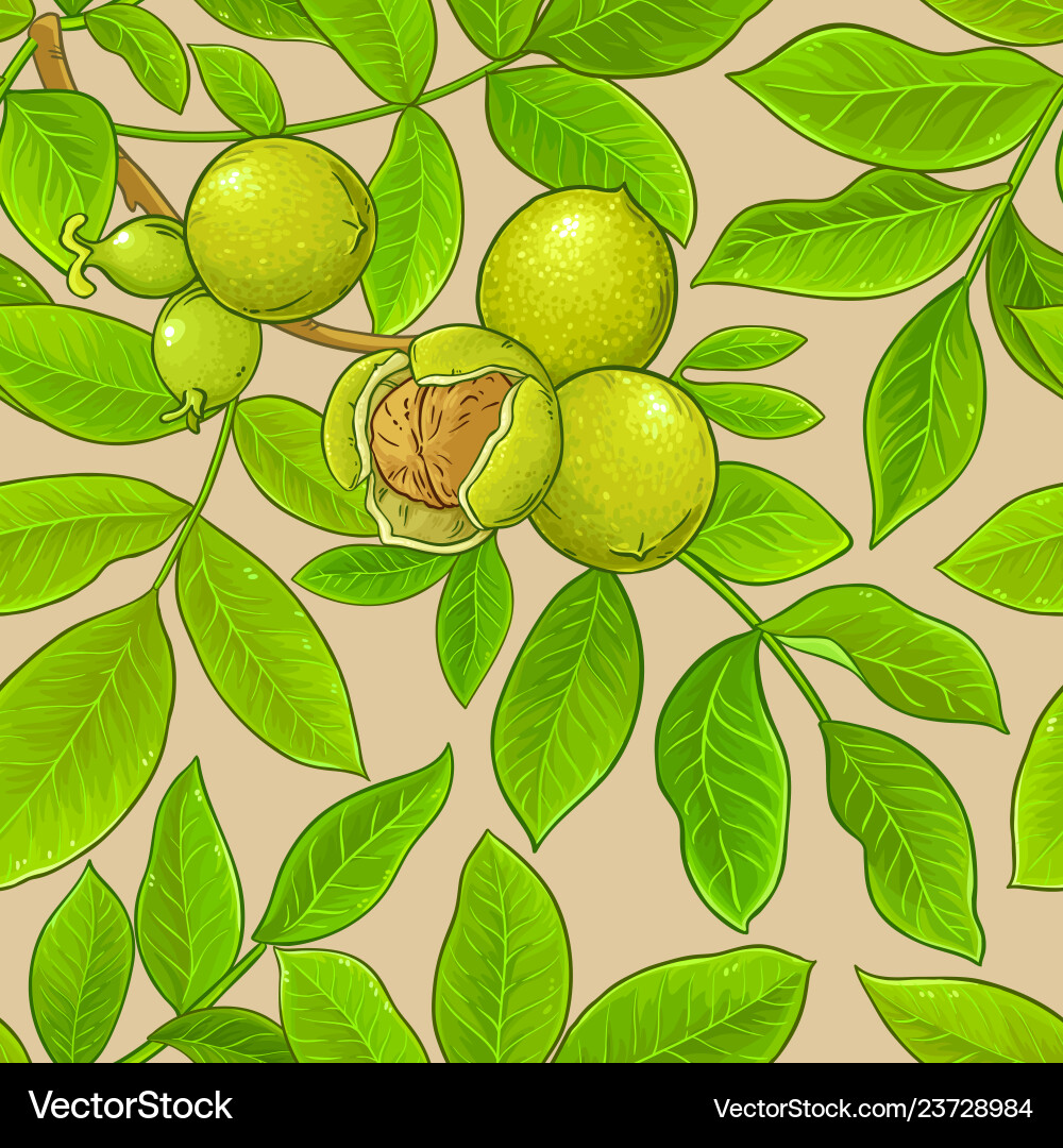 Walnut branches pattern on color background Walnut branches pattern on color background vector image