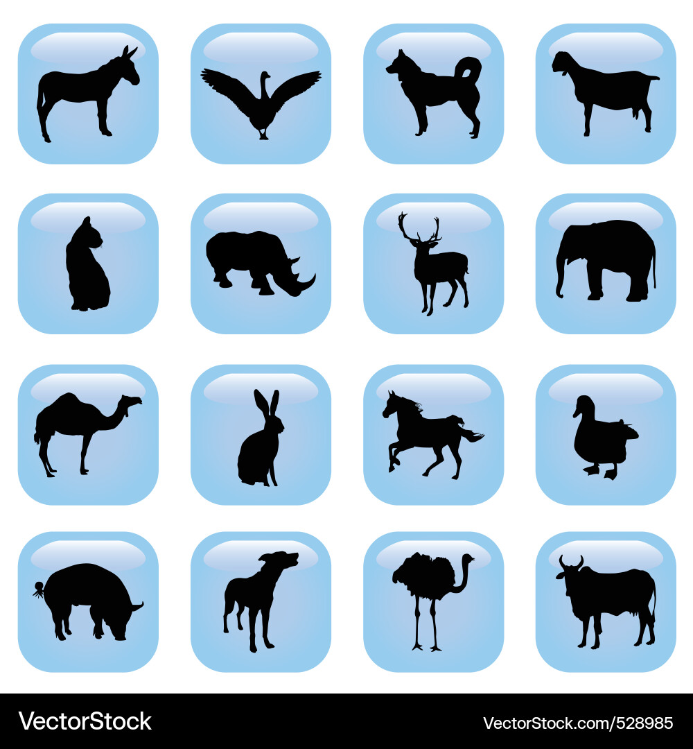 Animal Button Icons Vector Image