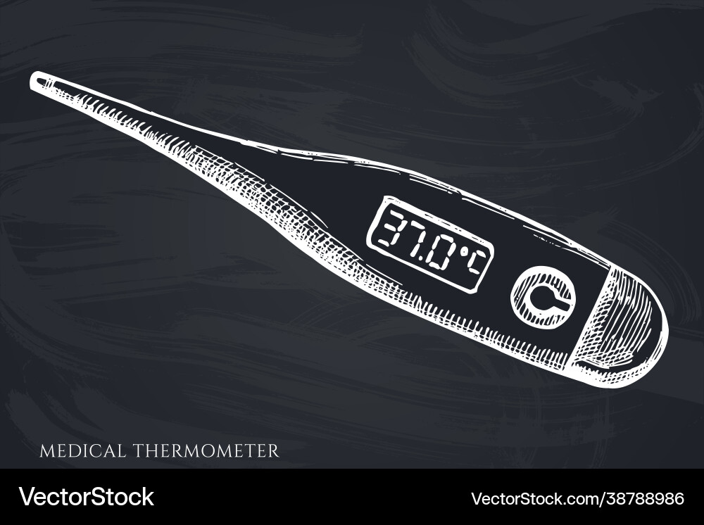 Hand Drawn Chalk Medical Thermometer Set Vector Image