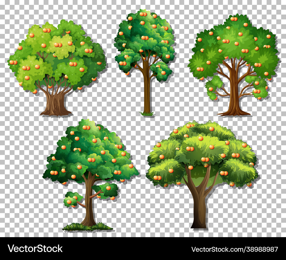 Set different trees on transparent background Set different trees on transparent background vector image
