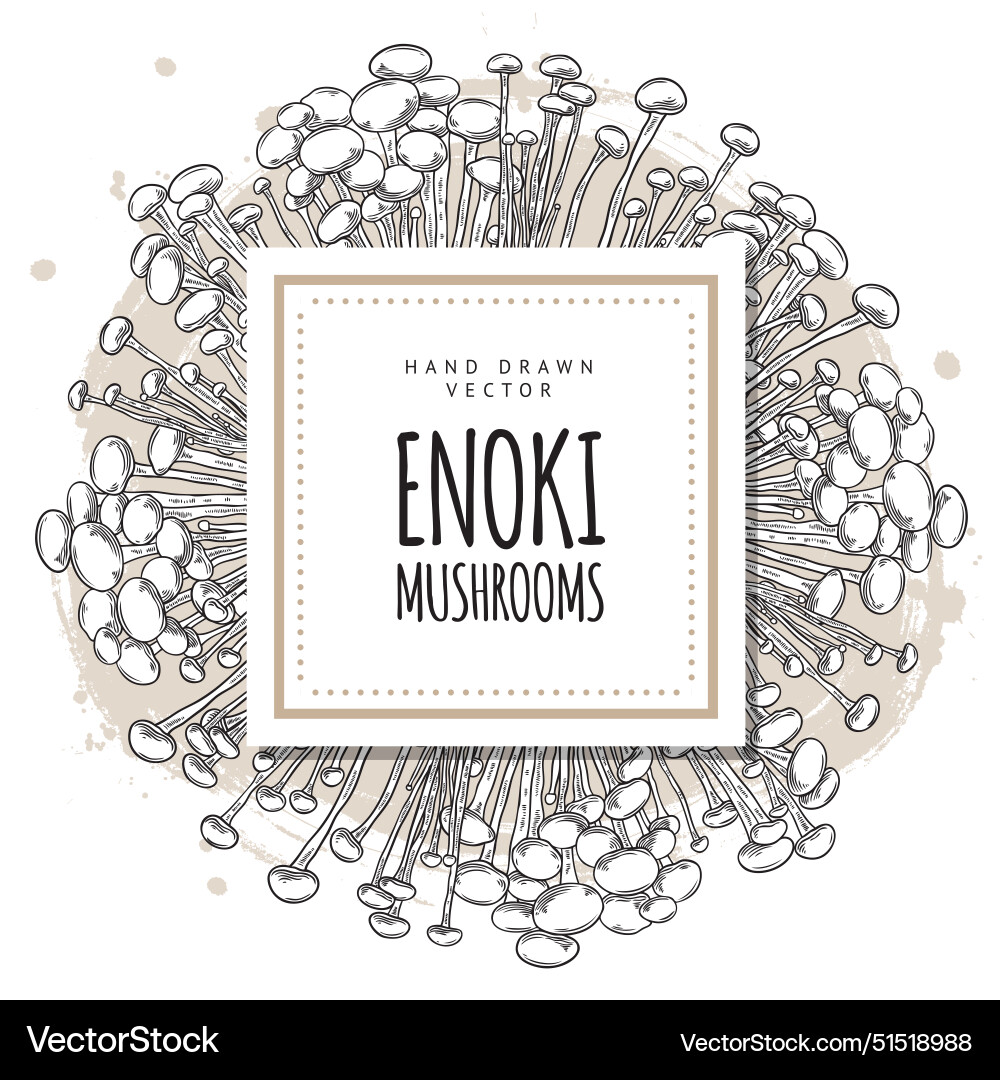 Poster with an empty place for text Vector Image